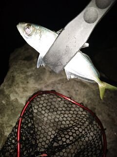 Подсачек в помощь: как сократить сходы при подъёме к кромке