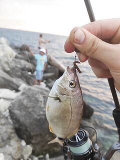 Снова слабовато, но не ноль: пустые тычки и пара реализованных