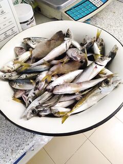 Краткий отчёт в одном посте: без воды, только факты и выжимка