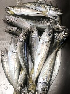 Фотку подгрузил — наглядно видно, о чём шла речь выше