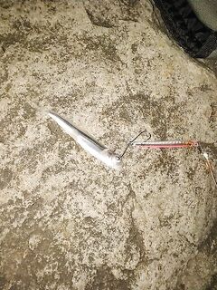 Июль и пилькер — не сезон, но кое-что поймал: летние выезды по железу в картинках