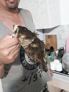 Утришь держит скорпену покрупнее — попадались 400–500 г на моих точках