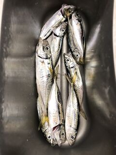 «Такая же ерунда»: кивок на нестабильность — придётся ловить окно по погоде