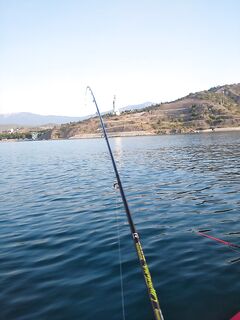 Самодур на рассвете — ноль; вышли в море к шести, «на просушить» отловился