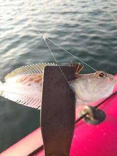 Малореченское: с 6:00 до 8:00 похуже, тонкая снасть решает, первая партия готова