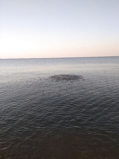 Бомбарда и нереис дают только мелочь — реализация почти ноль, нужно менять ритм