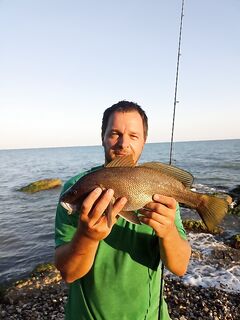 Абхазия сегодня: короткая сводка с берега — в работу включился