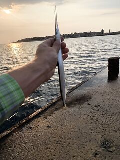 Несебр: сарган на червя после подсказки местного — взял немного на жарево