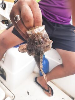 Итог спору: эмоции получены, улов был — спасибо, ЧМ!