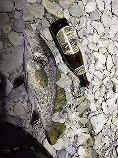 Крабик выручил: приманка сработала лучше воблеров в прибрежной зоне