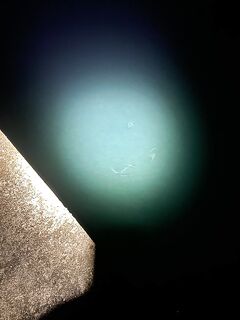 Сарган неинтересен — на сковородку много душ; на фото 15–20 см «карандаши»