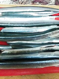 14 хвостов с 50+ м на бомбарду: две «с приводнения», остальным уговаривать