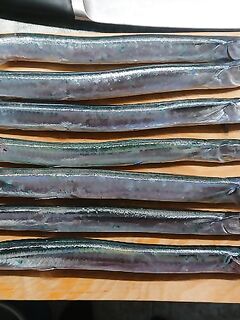 Проспал зорьку: бомбарда дала пару, пилькер с мухой — ноль; стоит далеко, надо добрасывать