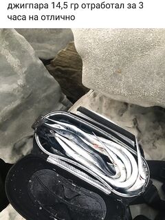 Лазаревское — свежий кан с сарганом: товарищ выложил фото, сегодня ловится