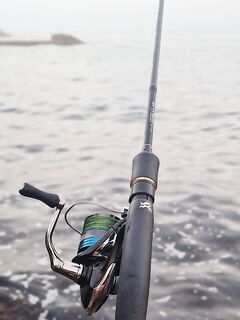 Два вечера штиля: каменный окунь сорвался без фото, затем одна скорпена 200 г — полнолуние?