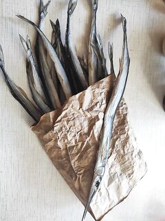 «Мужские букеты» — шутливый оффтоп в теме моря, без деталей по ловле