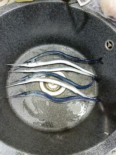 Саргановый день: пилькеры 7 и 9 г, поклёвки на 50–60 м — удалось поймать больше одного