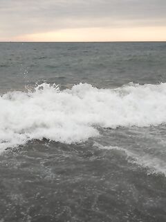 Батуми — открытие сезона: голодный сарган просит червя, опарыша игнорит