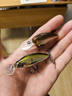 Размер кренка «под берег»: удивлён, что в самый раз — думал нужны крупнее