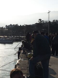 Ялта проснулась: пора в порт, проверять утренний подход