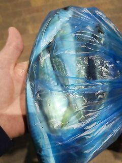 Сочи, бомбарда и «ставридячий» силикон: девять отборных, одна за ладонь