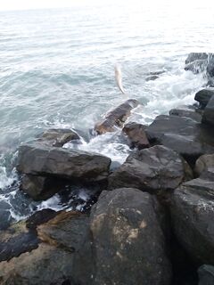 Имеретинка, Сочи — волнорезы у Сокола: где ставрида, скорпена и карась вечером