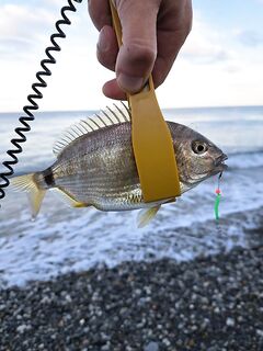 Сочи, Горный воздух и мини-пирс к «Пионеру»: опыт по 2023 году