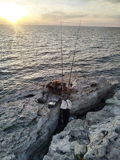 Вечерняя ставка против бомбарды: ставрида вялая, 2,2 кг итогом