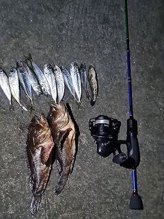 Ялта капризничает: от 3,5 г до 0,15 г — лучшая белая «маракуйя»