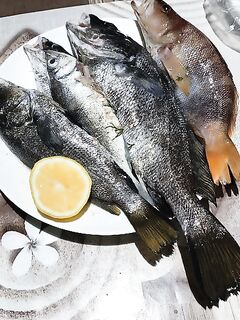 Лермонтово: горбыль пошёл у дочки, мидий немного, на воде странный буй