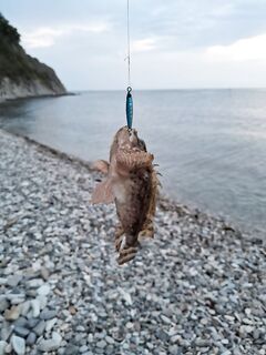 Ольгинка с почином: первые рыбы и отметки по точкам