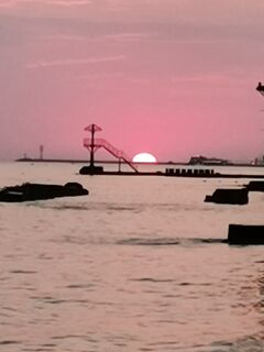 Неглубоко и по делу: три карася и десяток ставридок — вся рыба донная