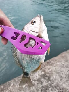 Кровавая луна и жирные ласкири: трава нашлась — лучшая карасёвая рыбалка выезда