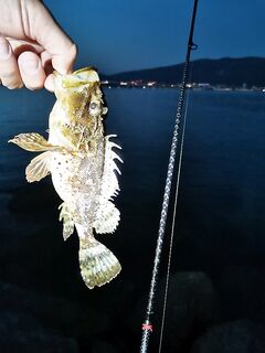 МДЖ на Чёрном море: улилка до 2 г, шнур 0.2 и поводок 2 lb, пилькеры для саргана