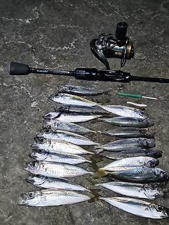 Адлер, самодельная бомбарда 3 г и маракуя: рыбалка у берега с микрокрючком