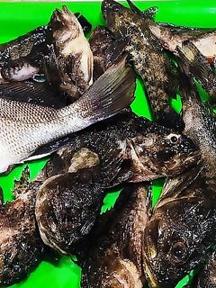 Ночной берег и короткая снасть: рыбалка на Чёрном море после «вчерашнего» выхода