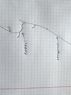 Ставка + бомбарда: минимальная схема монтажа — и вперёд