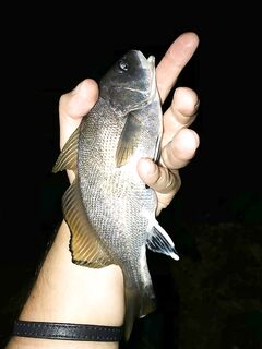 Джубга, после заката: микроджиг «вслепую», сходы крупного у берега