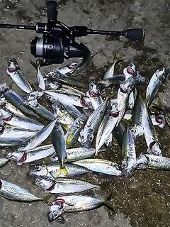 Ялта, волна до метра: мормышка 0,4 г и спин до 1 г — ночной короткий выход