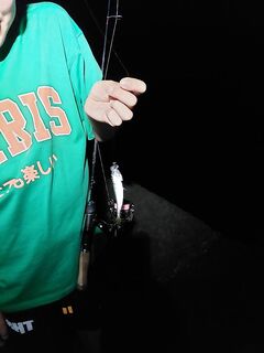 Алушта, вечер с сыном: мормышка 0,3 г и микроджиг 2 г — ставрида на каждом