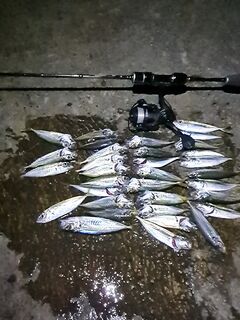 Ультралёгкие веса 0,1–0,4 г: это не «извращение», а рабочая тактика