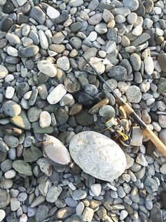 Адлер — первые шаги: джиг, пилькеры и бомбарда; ищу саргана и снижаю зацепы