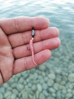 Имеретинка каменная: техасская «пуля» спасает от мёртвых зацепов