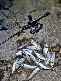 Полуторачасовой выход: поклёвок мало, но размер рыбы ощутимо крупнее