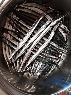 Морская рыбалка на Чёрном море — уточняю по месту и целям на вечер