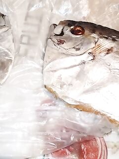 Перед отъездом добрал пару рыб — фиксация приманки и глубины для повторения