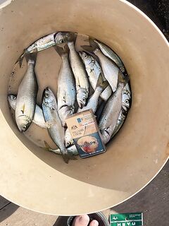 С 8 до 9 утра — лаконичная отметка: время известно, условия и снасти стоит уточнить