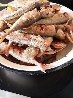 Горячая сковорода: часть улова уже ушла в жарку — максимально свежая