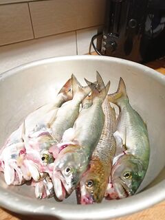 Палка под море: матч 4 м как идея — дальний бросок бомбарды и тирольки