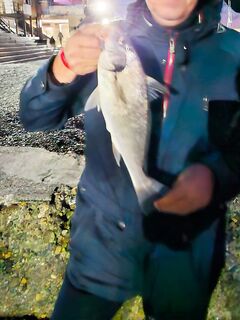 Горбыль в сумерках: волна спадала, ставрида и собачки, затем полкилошник